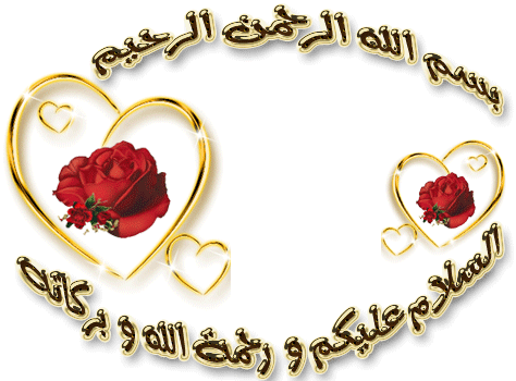 فلاشتــين للانيـــــق j100h فلاشتــين للانيـــــق j100h