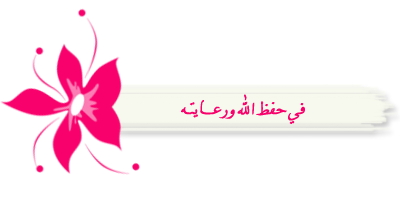 فلاشة جديدة phone+7+plus MT6582 على الجيم فلاشة جديدة phone+7+plus MT6582 على الجيم
