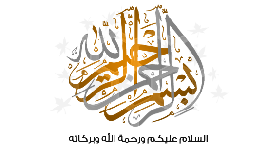 شرح قراءة نمط العنيد {X-PQ_Model_P14 {Spreadtrum شرح قراءة نمط العنيد {X-PQ_Model_P14 {Spreadtrum