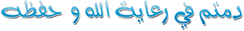 شرح قراءة نمط العنيد {X-PQ_Model_P14 {Spreadtrum شرح قراءة نمط العنيد {X-PQ_Model_P14 {Spreadtrum
