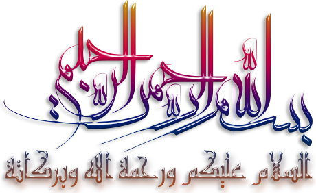 فلاشة نادره للتابليت majestic tab 375 3g مسحوبة بالـ Miracle II فلاشة نادره للتابليت majestic tab 375 3g مسحوبة بالـ Miracle II