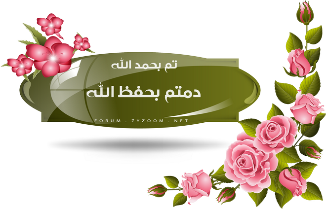 احترف التعامل مع مختلف معالجات MTK احترف التعامل مع مختلف معالجات MTK
