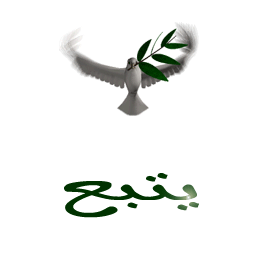 حصرياً شرح فك شفرة وسحب فلاشة عربية مفتوحة الشفرة للهاتف SUNNY_S52D حصرياً شرح فك شفرة وسحب فلاشة عربية مفتوحة الشفرة للهاتف SUNNY_S52D