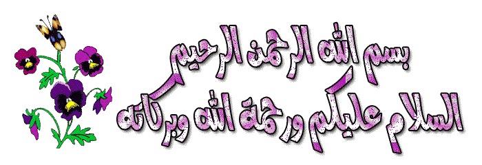 فلاشة نادره جدا الان علي الجيم GT-I9082 CPU MT6572 فلاشة نادره جدا الان علي الجيم GT-I9082 CPU MT6572