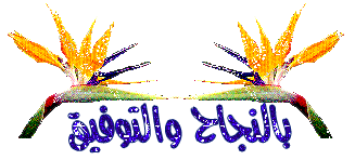 الفلاشة النادره جدا i9060 MT 6572 Nand الفلاشة النادره جدا i9060 MT 6572 Nand