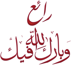 ��� ���� �� ������ lumia_510_rm-889_898