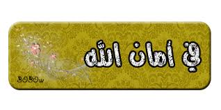 فلاشهMT6582_IFoo_S50__IFoo_S50 فلاشهMT6582_IFoo_S50__IFoo_S50