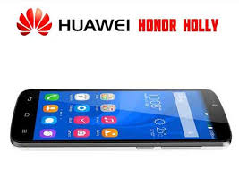    (2) Huawei hol honor u19