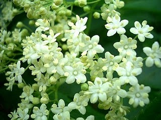معلومات طبية معلومات طبية