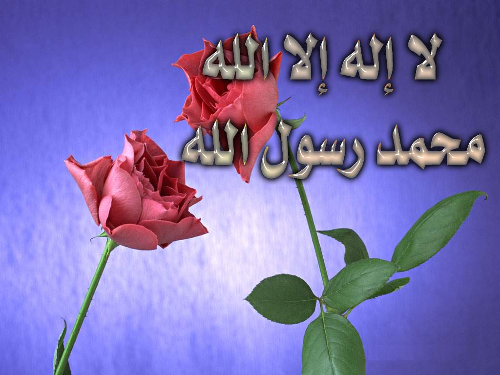مسابقه اجمل صوره اسلاميه بمناسبه المولد النبوى الشريف مسابقه اجمل صوره اسلاميه بمناسبه المولد النبوى الشريف