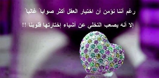 ماذا استفدت من الجيم فلاش ماذا استفدت من الجيم فلاش