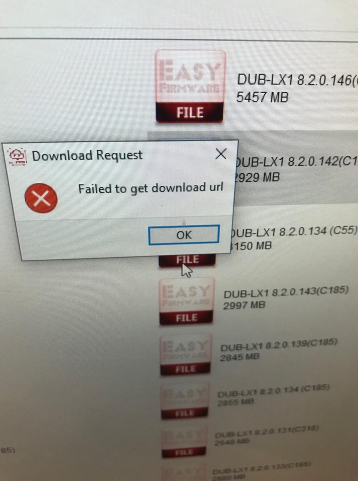   failed to download url