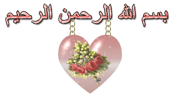 فلاشة MT6572_I9500_Nand فلاشة MT6572_I9500_Nand