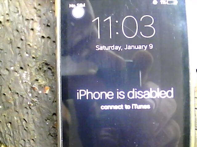 iPhone 5s ���� ��� ���� �� ����� ���� �������� �����