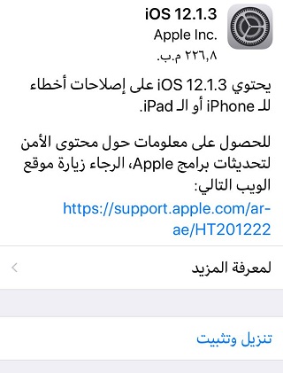   iOS 12.1.3