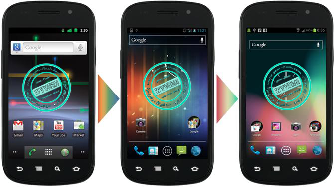  I9020A Google Nexus S