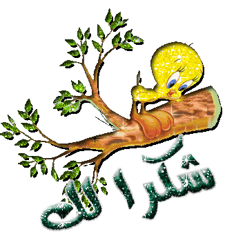 ����� Tv sport  ���� ������