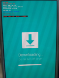 74333335651350399383 thumb