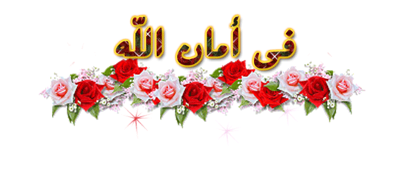 فلاشتــين للانيـــــق j100h فلاشتــين للانيـــــق j100h