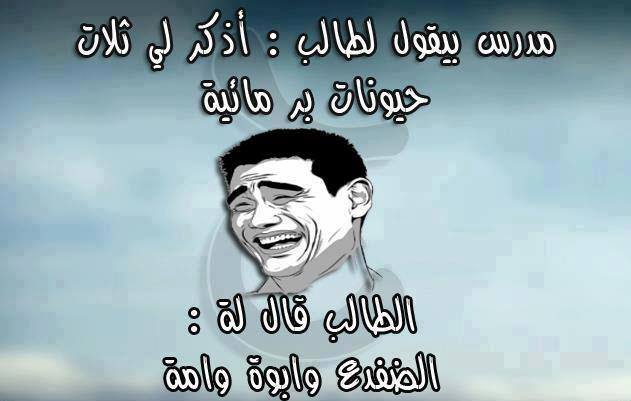 ��� ��� ����