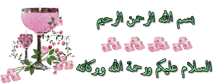 فلاشة M-HORSE-ONE-A9- بصيغة pac فلاشة M-HORSE-ONE-A9- بصيغة pac