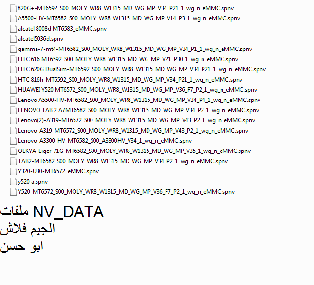 ����� NV_DATA ������ ������ ��� ����� ����