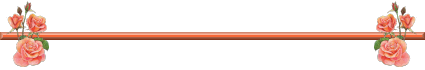 ���� Y-cable