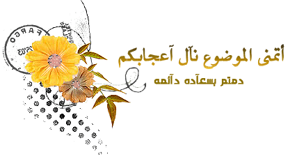 فلاشة wintouch tablet Q79 مع الفلاش تول فلاشة wintouch tablet Q79 مع الفلاش تول