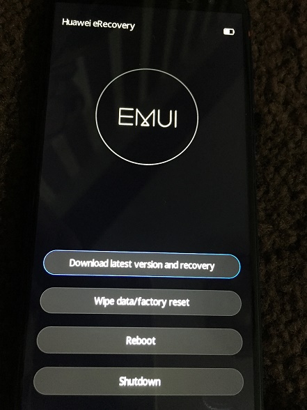 mate 10 lite