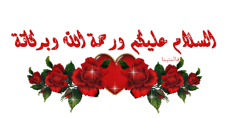 مطلوب فلاشة لجهاز yezz مطلوب فلاشة لجهاز yezz