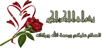 ������ ������ MTK