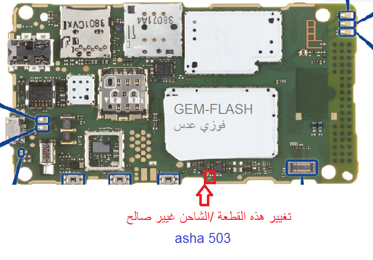 ������ ��� ���� ��� 503